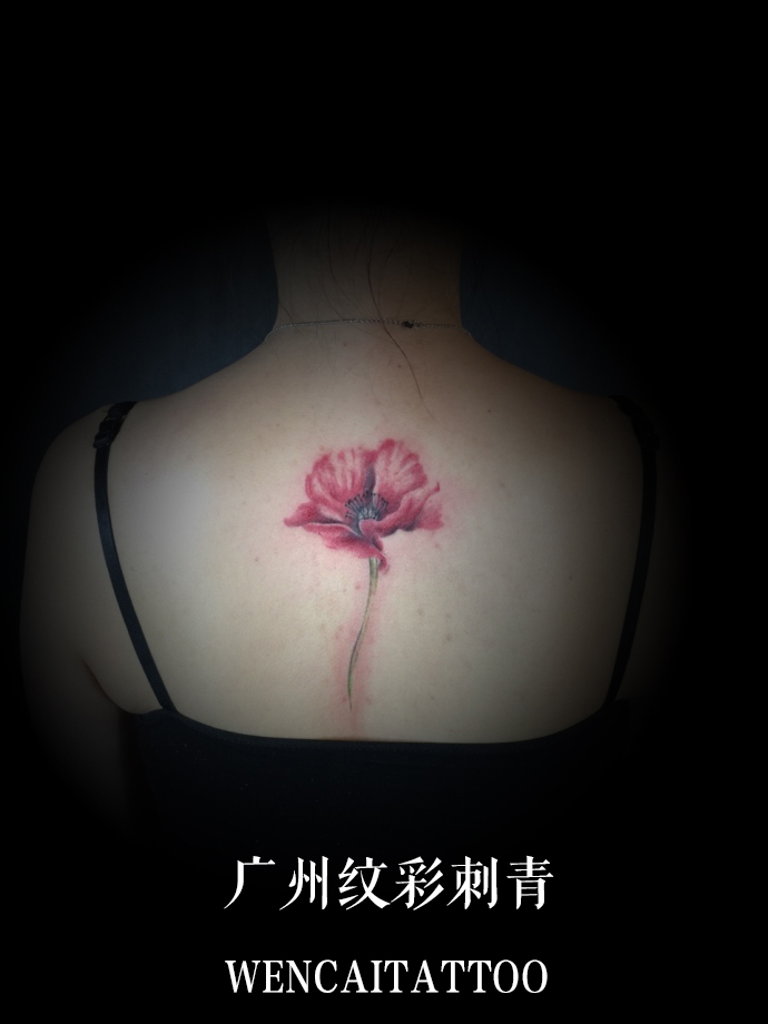 广州性感可人的凌小姐后背彩色罂粟花纹身图案